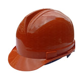 Delta Safety Helmet