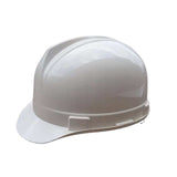 Delta Safety Helmet