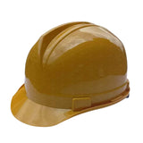 Delta Safety Helmet